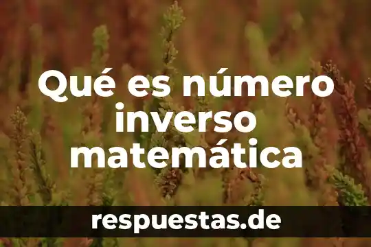 Qué es proceso de construcción de la noción del número 3 Qué es número inverso matemática