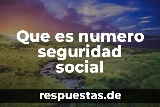 Que es existencia de seguridad 5 Que es numero seguridad social