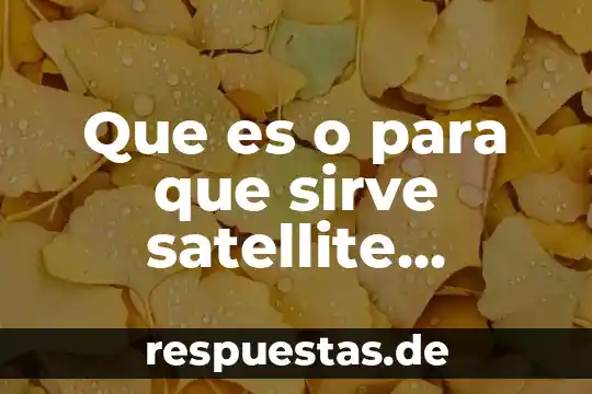 Que es y para que sirve el conocimiento de embarque 5 Que es o para que sirve satellite t215d-sp1004m