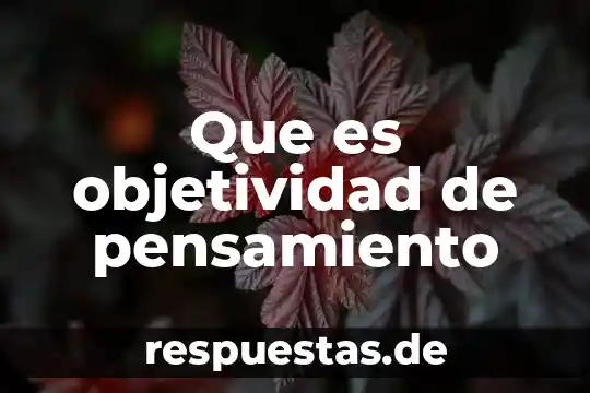 ¿Qué es objetividad y? 7 Que es objetividad de pensamiento