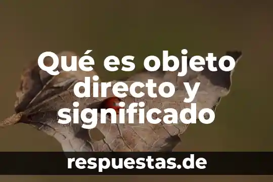 Que es un estado del objeto en poo 4 Qué es objeto directo y significado