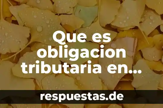 Qué es el principio de exclusividad en materia tributaria 6 Que es obligacion tributaria en mexico