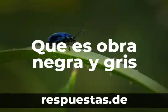 Qué es significado obra 4 Que es obra negra y gris