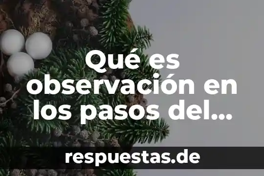 Qué es el método de saldos decrecientes de la depreciación 7 Qué es observación en los pasos del método científico