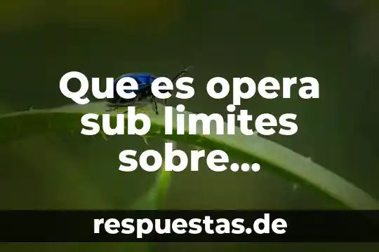 Que es opera concepto 5 Que es opera sub limites sobre responsabilidad civil a terceros