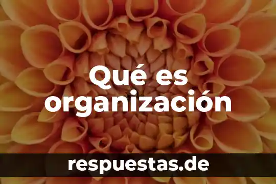 Que es organizacion de las leyendas y encuadernacion 3 Qué es organización