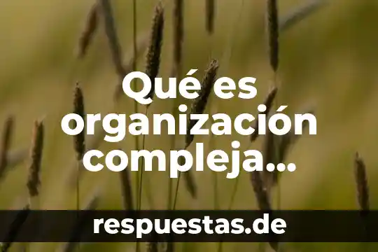 Qué es organización compleja burocrática