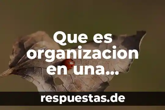 Que es organizacion en una secuencia didactica