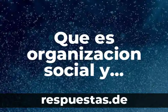 Qué es la sociedad civil organización gubernamental 6 Que es organizacion social y economica