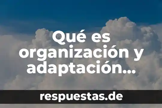 Qué es el pensamiento universal según Piaget 6 Qué es organización y adaptación según Piaget