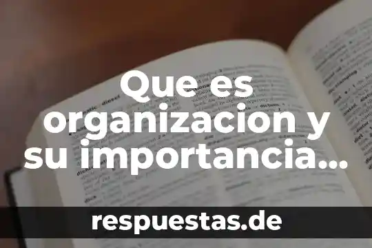 Qué es un manual de organización tesis 6 Que es organizacion y su importancia en la empresa