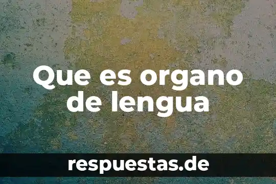 Que es dialecto lengua y comunicacion 5 Que es organo de lengua