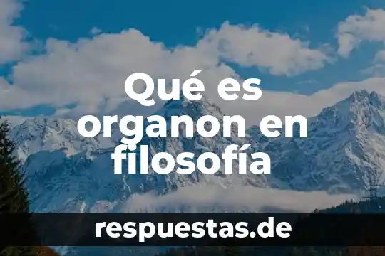 Qué es la creatividad en filosofía 8 Qué es organon en filosofía