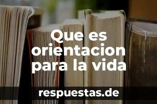 Qué es el razonamiento analógico y cuál uso damos en la vida cotidiana 7 Que es orientacion para la vida