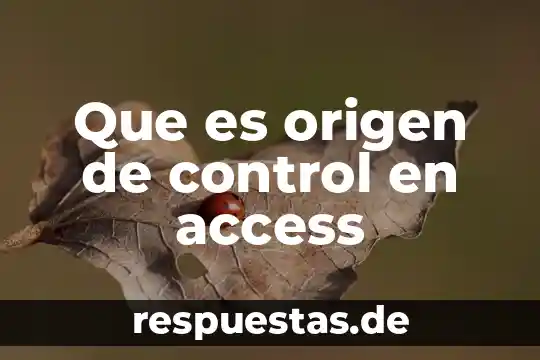 Que es la definicion origen 4 Que es origen de control en access