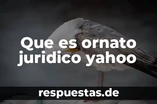Que es el radicalismo yahoo 8 Que es ornato juridico yahoo