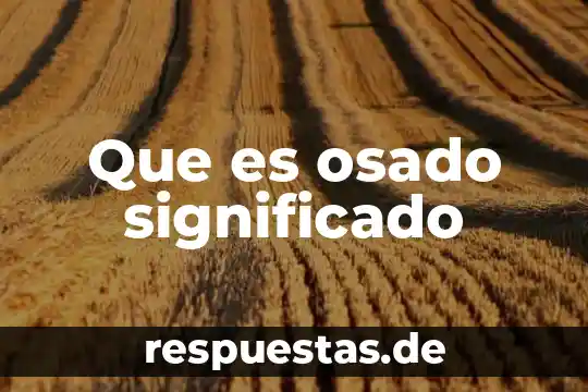 Que es investigacion cientifica significado 4 Que es osado significado