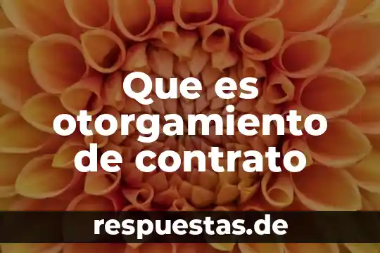Que es el contrato telefonico 5 Que es otorgamiento de contrato