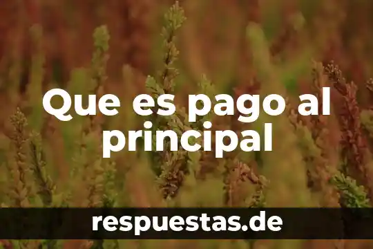 Que es bcp pago 3 Que es pago al principal