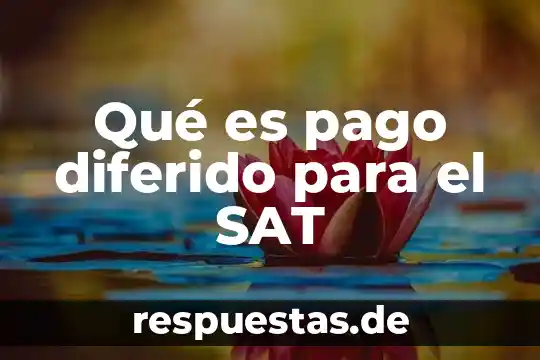Que es un cargo y gasto diferido 8 Qué es pago diferido para el SAT