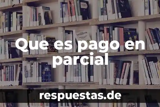 Qué es un concepto en un pago 4 Que es pago en parcial