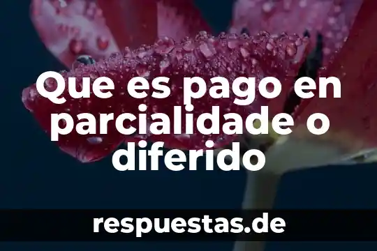 Qué es pago diferido para el SAT 4 Que es pago en parcialidade o diferido