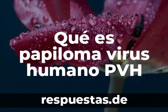 Qué es papiloma virus humano PVH