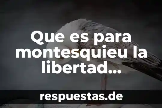 Que es la libertad segun la etica 3 Que es para montesquieu la libertad politica