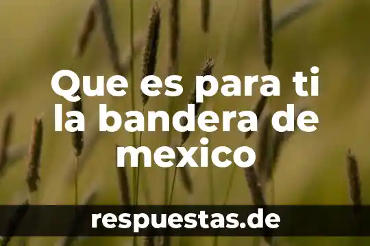 Qué es LGTI+ en México 7 Que es para ti la bandera de mexico