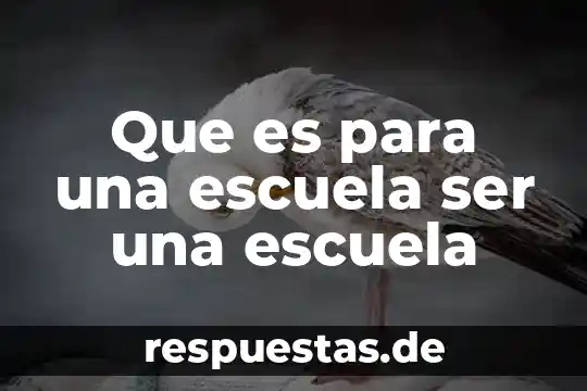 Que es ser una persona perpicaz 7 Que es para una escuela ser una escuela