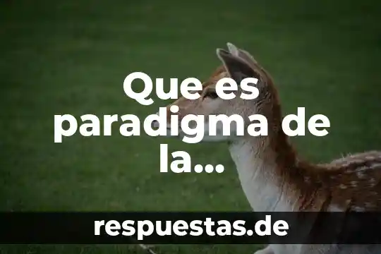 Que es un paradigma cientifico para kuhn 6 Que es paradigma de la investigacion cualitativa que es