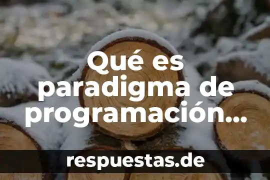 C o adress details que es 4 Qué es paradigma de programación utiliza C