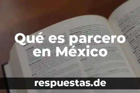 Qué es un escudo fiscal en México 7 Qué es parcero en México