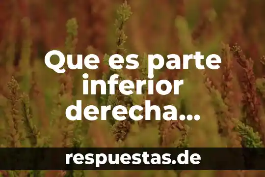 Que es ser izquierda o derecha 8 Que es parte inferior derecha exterior izquierda