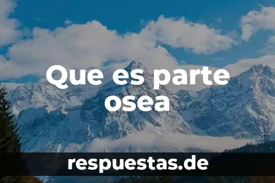Violacion por parte de conyugue o parejas que es 7 Que es parte osea