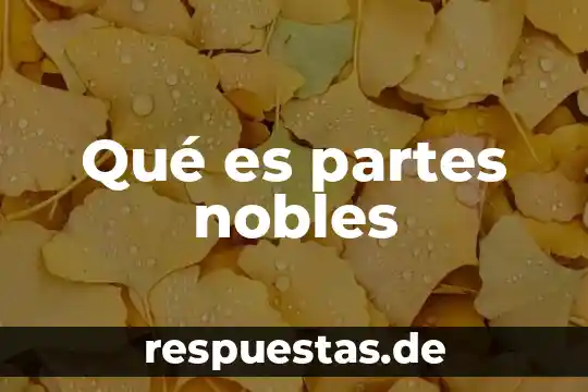 Qué es partes nobles