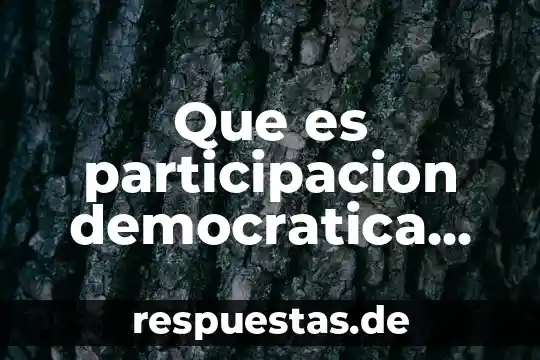 Por que es indispensable la toleancia en una sociedad democratica 4 Que es participacion democratica con la autoridad