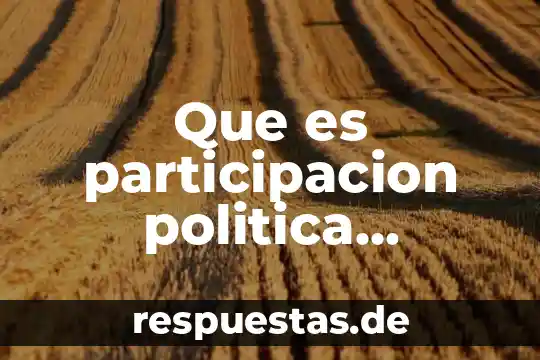 Qué es la representación política en la democracia 4 Que es participacion politica resumen