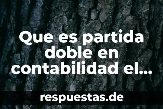 Que es un ratio financiero y cual es su función 5 Que es partida doble en contabilidad el financiero
