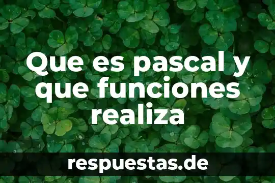 Que es presion de pascal en fisica 8 Que es pascal y que funciones realiza