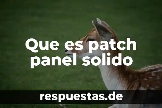 Que es lo que aumenta al calentarse un solido 3 Que es patch panel solido