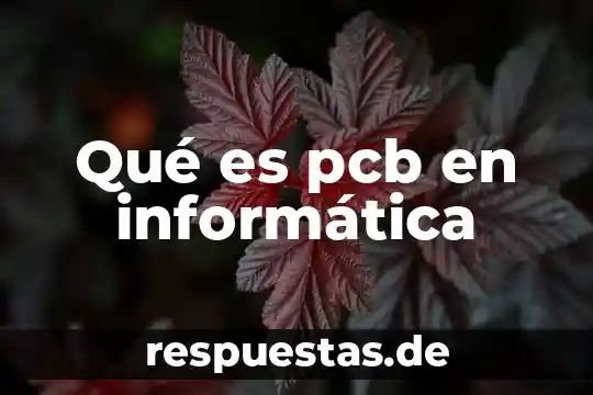 ¿Qué es la informática jurídica ehcénique? 6 Qué es pcb en informática