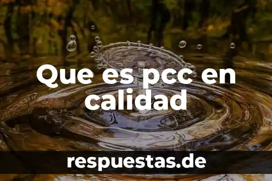 Concepto que es calidad de vida 7 Que es pcc en calidad