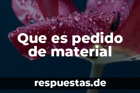 Material de aprendizaje que es 8 Que es pedido de material