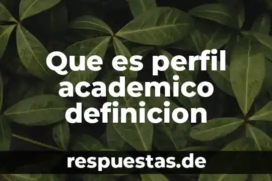 Que es perfil academico definicion