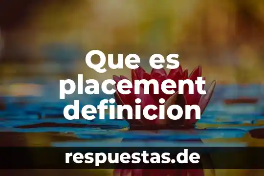 Sumiso definición que es 6 Que es placement definicion