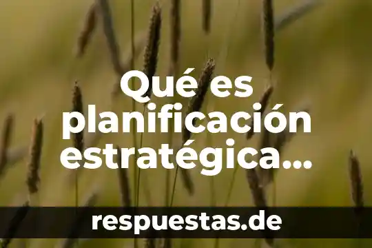 Qué es el número de registro en la planeación estratégica 7 Qué es planificación estratégica según Lourdes Munch