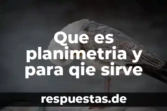 Que es una tesis para que sirve una tesina 3 Que es planimetria y para qie sirve