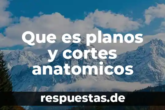 Qué es un comando cortes 6 Que es planos y cortes anatomicos