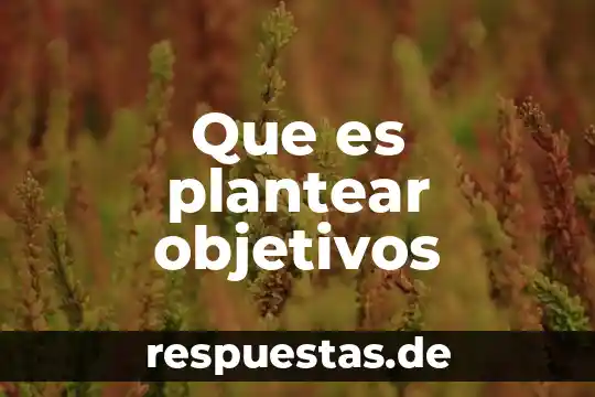 Qué es la cultura autointegrador 5 Que es plantear objetivos